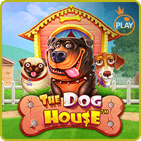 the dog house